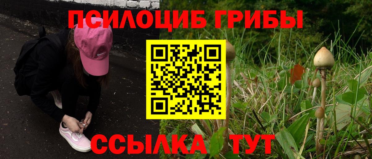 Галлюциногенные грибы прущие грибы Семёнов